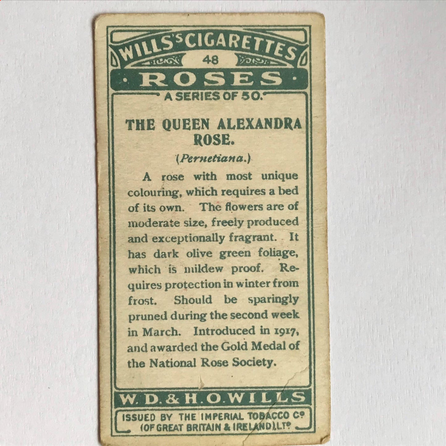 ROSES 1926 Wills Cigarette Cards - vintage rose pictures - sold individually