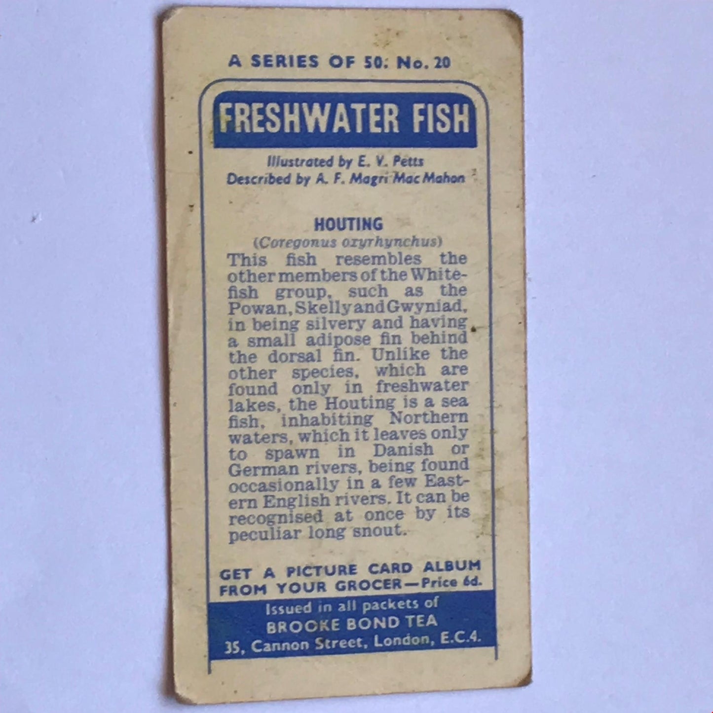 FRESHWATER FISH Brooke Bond Tea Cards 1960 Sold individually