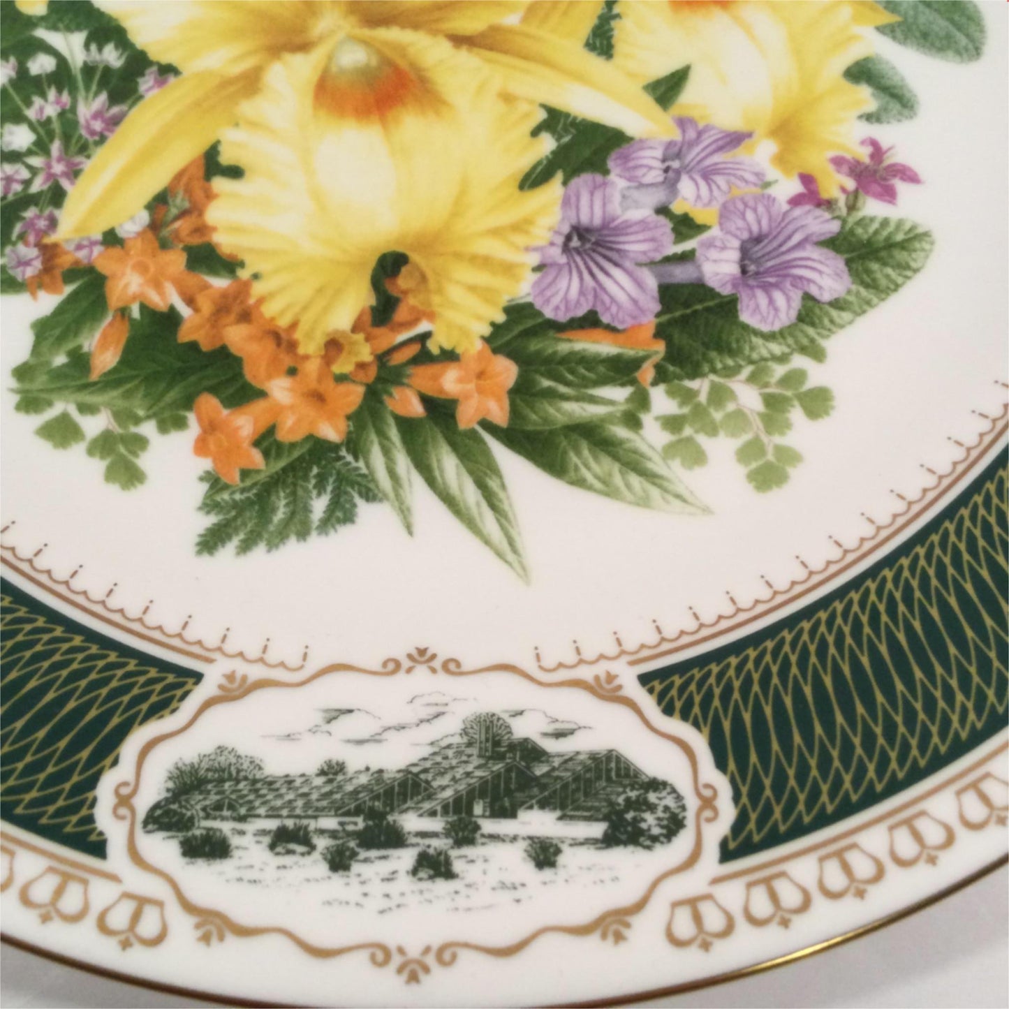 Spode Royal Botanic Gardens Kew Flora Exotica Plate Princess Wales Conservatory 1987