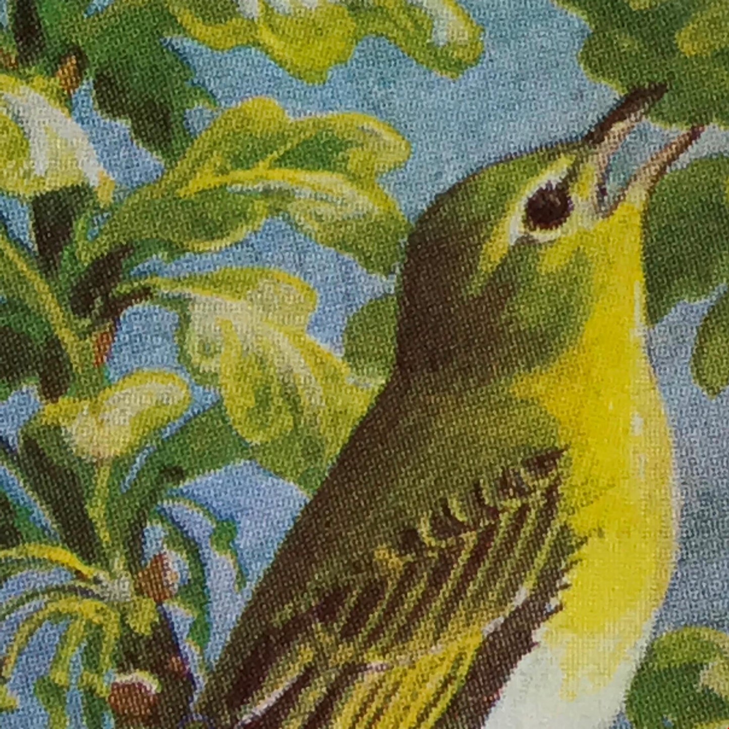 WILD BIRDS IN BRITAIN - Brooke Bond Tea Cards - sold individually take your pick