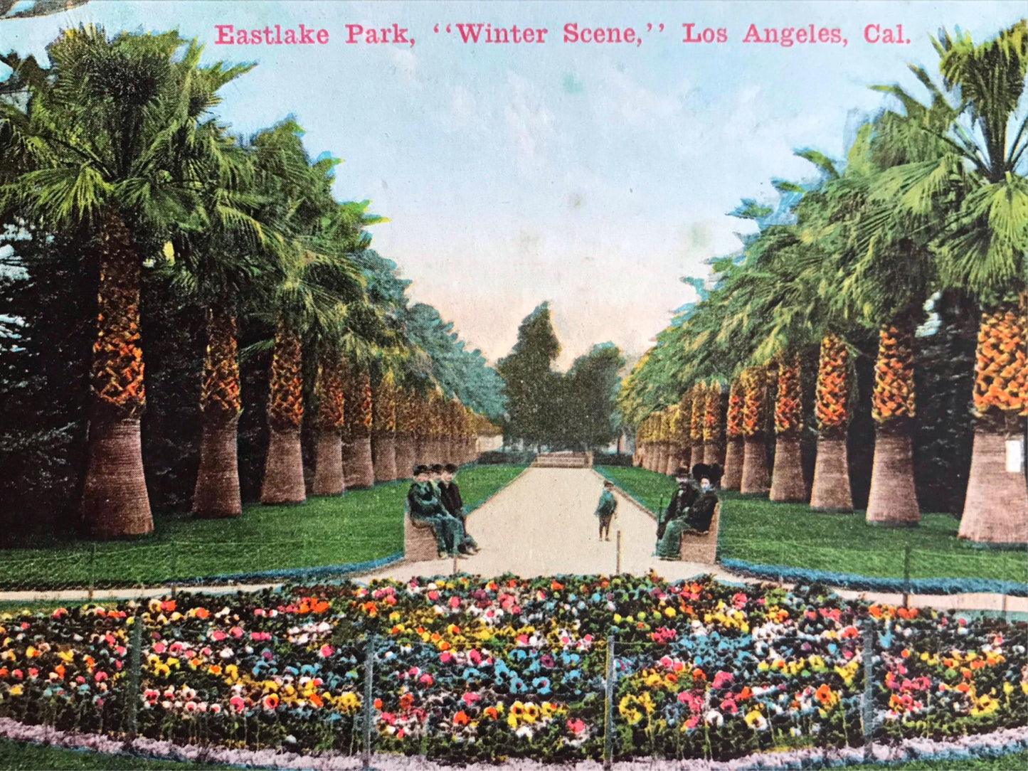 Vintage postcard EASTLAKE PARK LOS ANGELES CALIFORNIA Palm Trees early 1900s