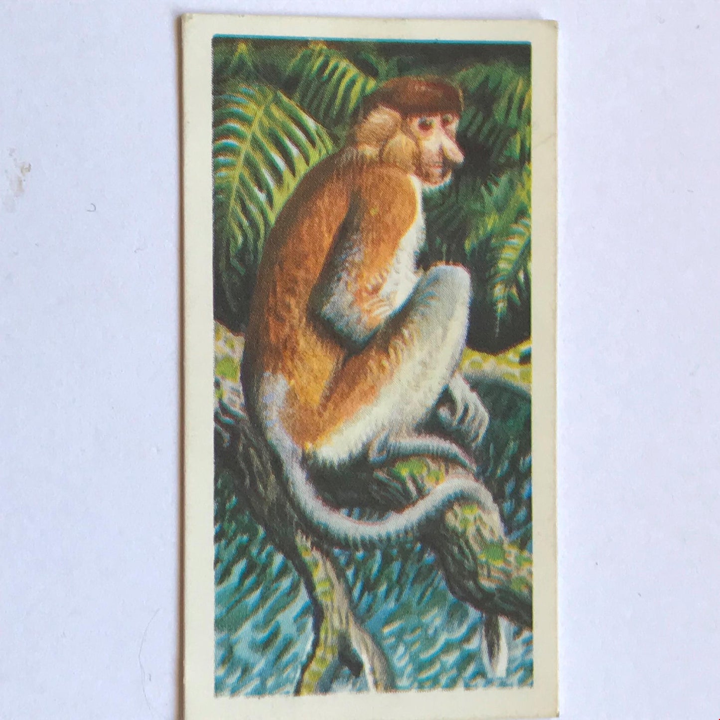 ASIAN WILD LIFE Brooke Bond Tea Cards - sold individually - take your pick