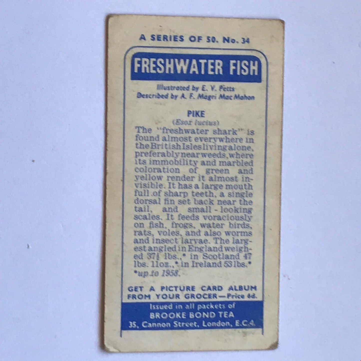 FRESHWATER FISH Brooke Bond Tea Cards 1960 Sold individually