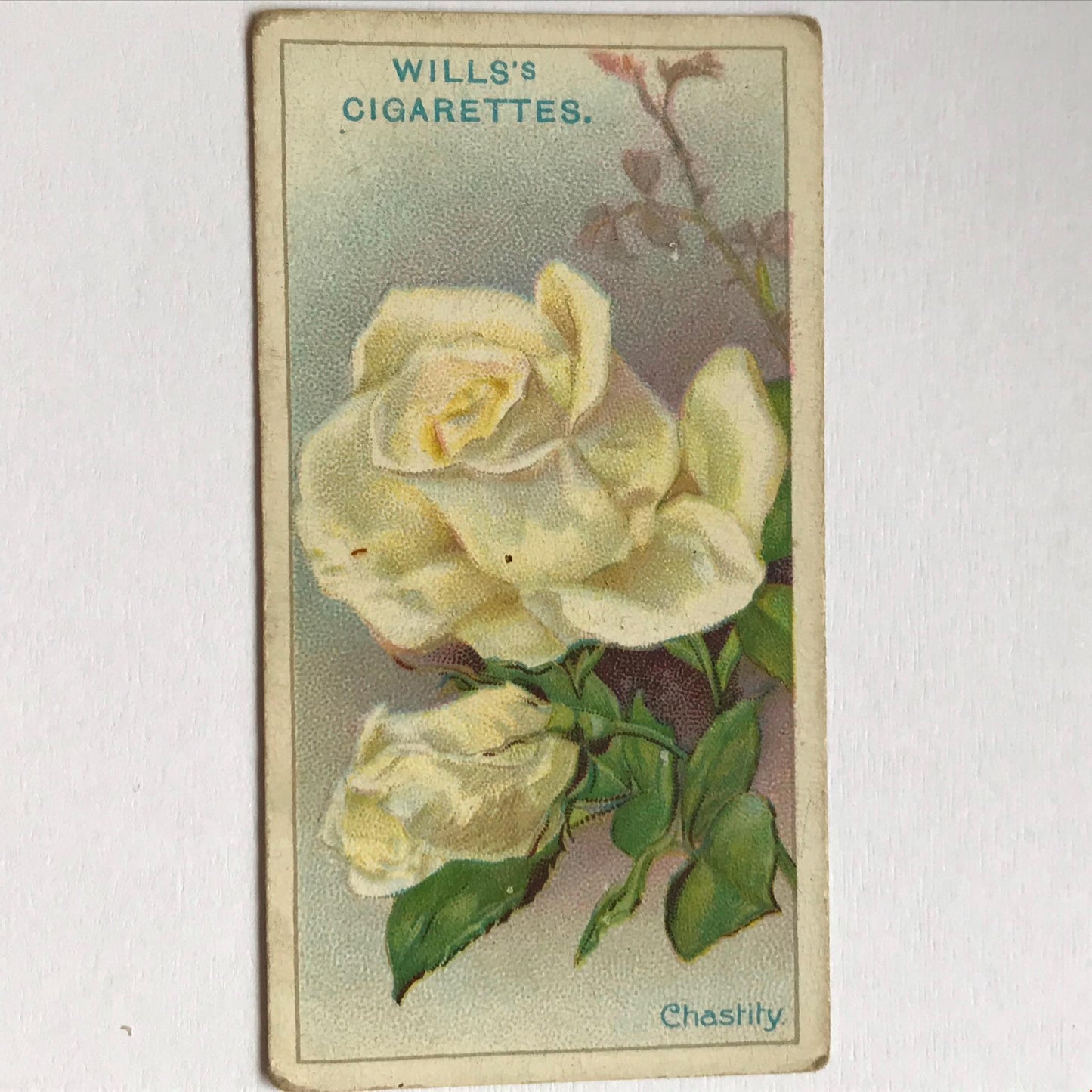 ROSES 1926 Wills Cigarette Cards - vintage rose pictures - sold individually