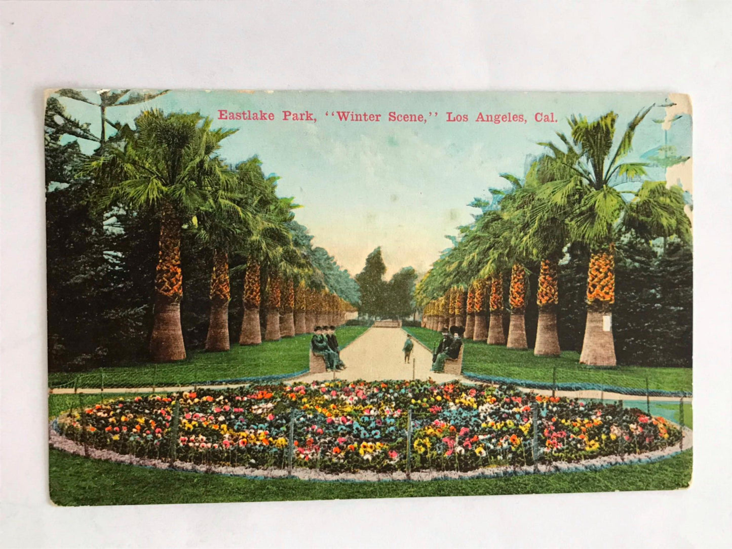 Vintage postcard EASTLAKE PARK LOS ANGELES CALIFORNIA Palm Trees early 1900s