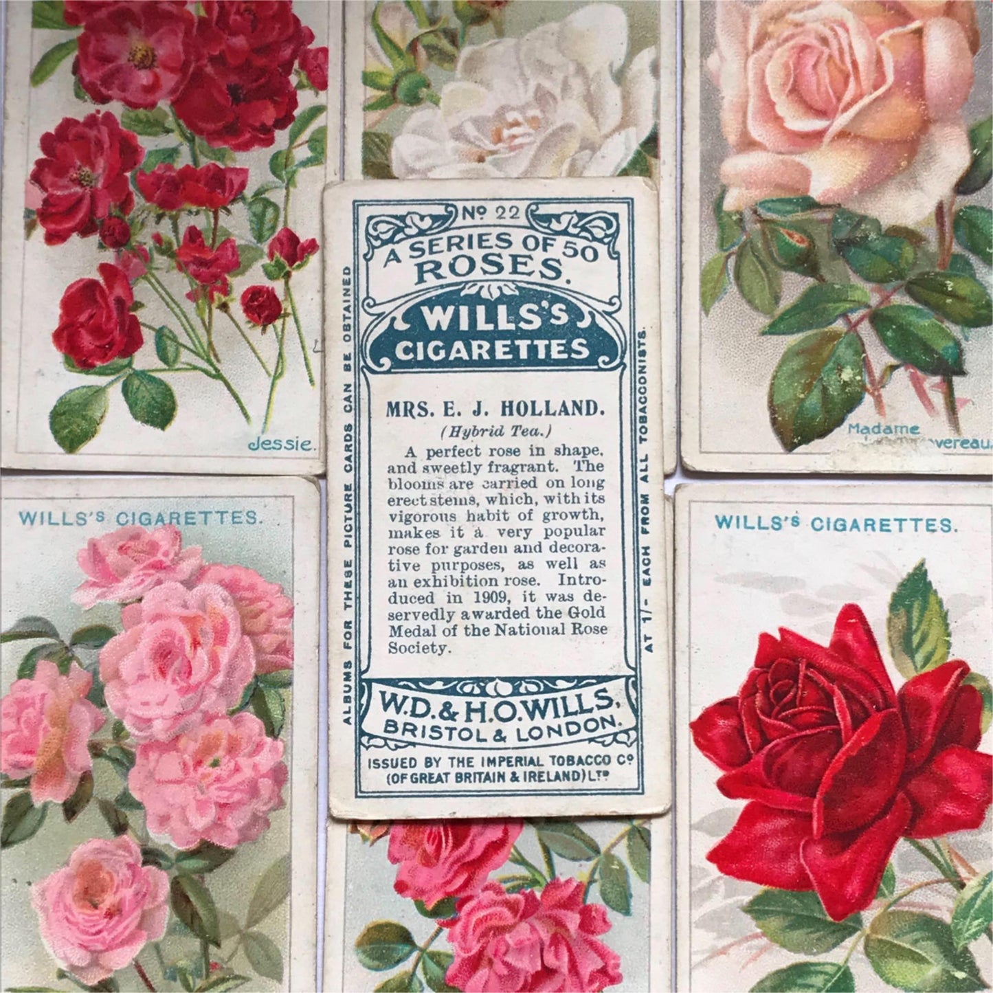 ROSES Wills Cigarette Cards 1912 Antique Rose Pictures - sold individually