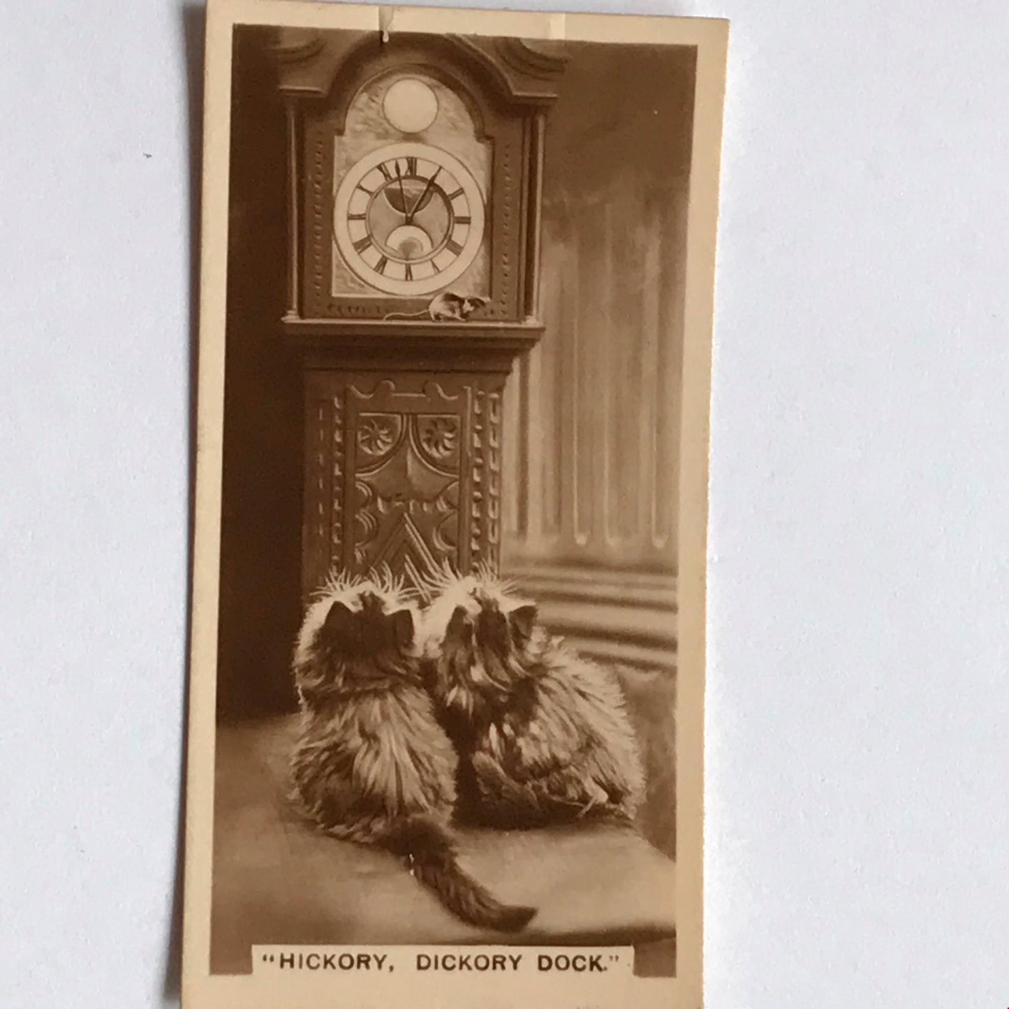 CUTE VINTAGE CAT PHOTO watching mouse ‘hickory dickory dock’ cigarette cacat’