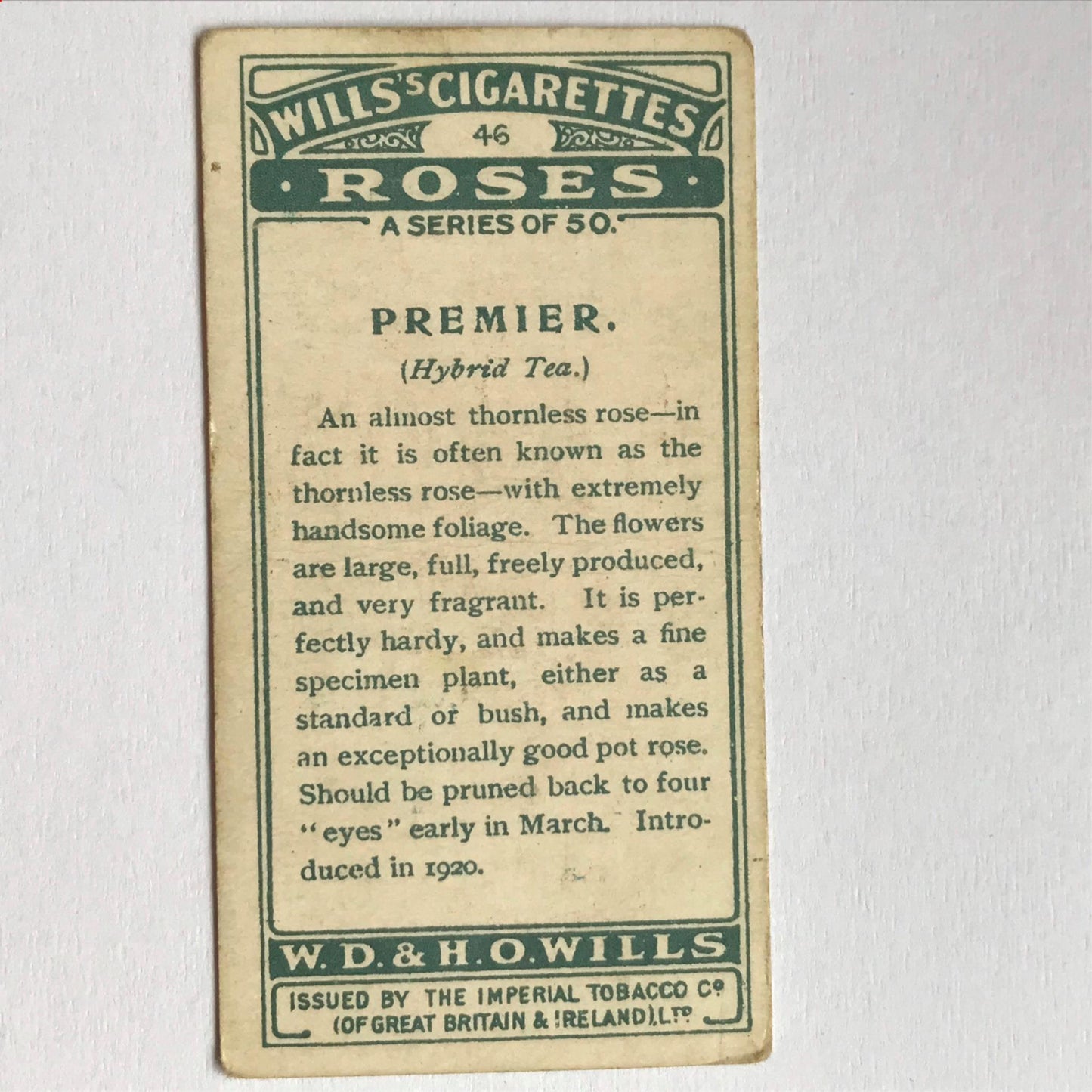 ROSES 1926 Wills Cigarette Cards - vintage rose pictures - sold individually