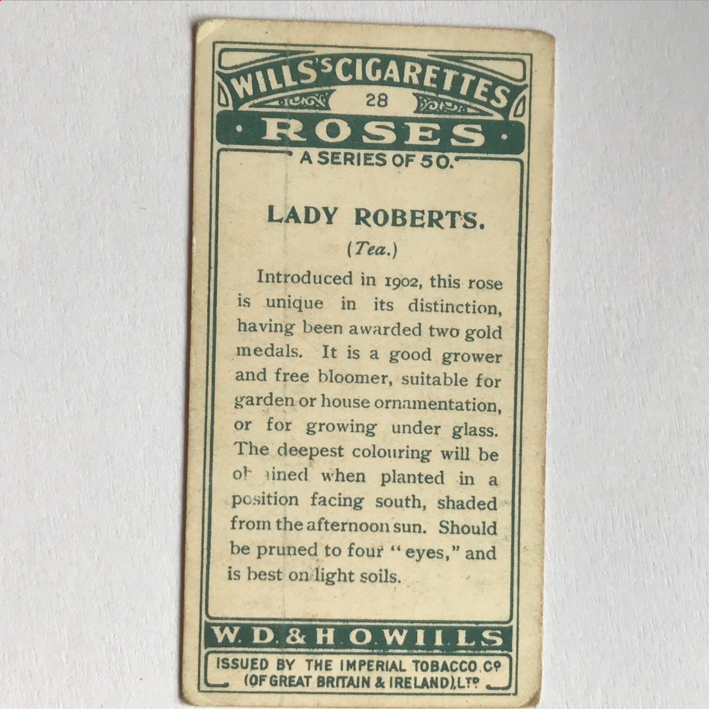 ROSES 1926 Wills Cigarette Cards - vintage rose pictures - sold individually