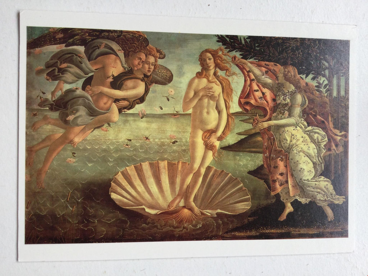 BOTTICELLI THE BIRTH OF VENUS c1482 Blank Card, No Envelope