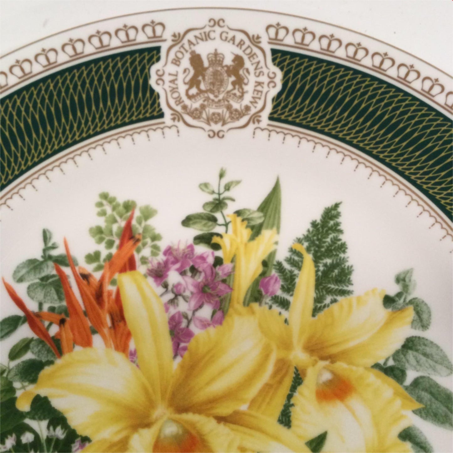 Spode Royal Botanic Gardens Kew Flora Exotica Plate Princess Wales Conservatory 1987