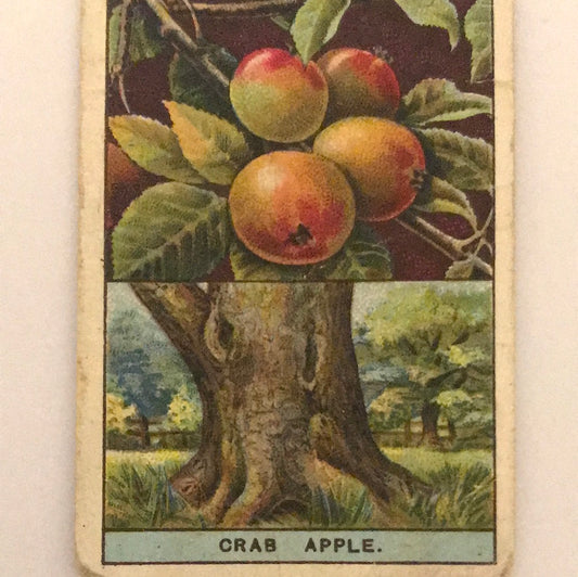 Wills Cigarette Cards - FLOWERING TREES AND SHRUBS - Sold Individually- take your pick 1920s 1924