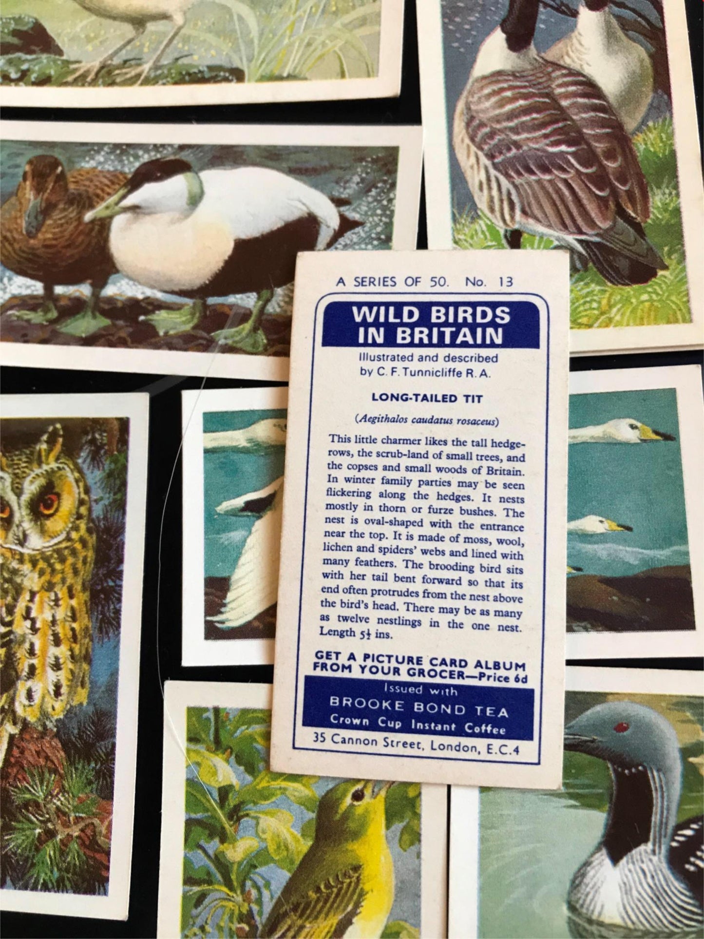 WILD BIRDS IN BRITAIN - Brooke Bond Tea Cards - sold individually take your pick