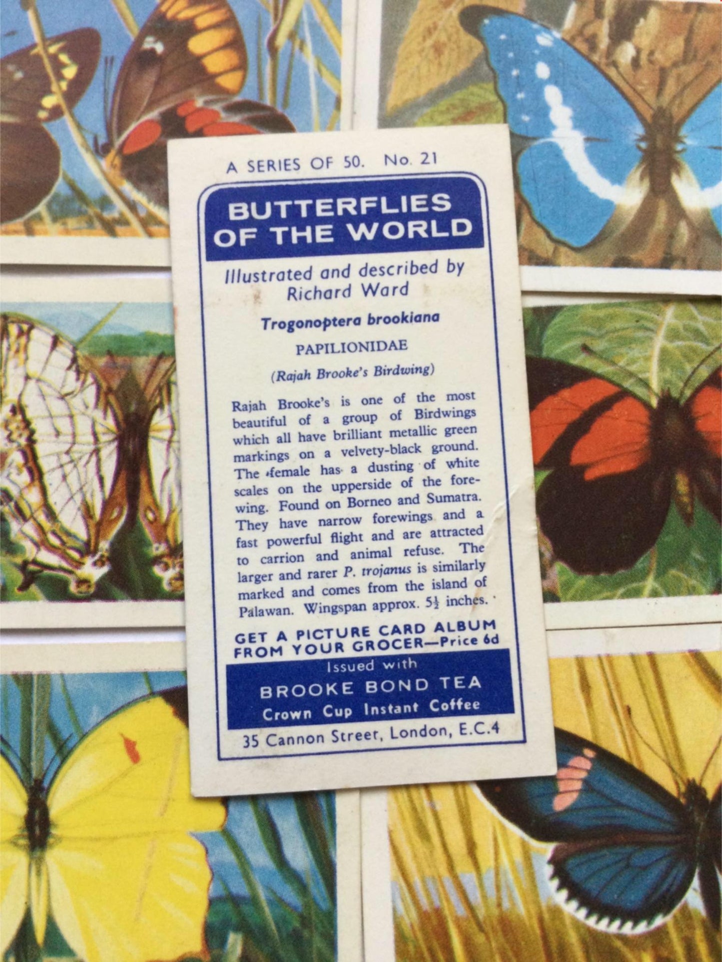 BUTTERFLIES OF THE WORLD- Brooke Bond Tea Cards- sold individually 1960s